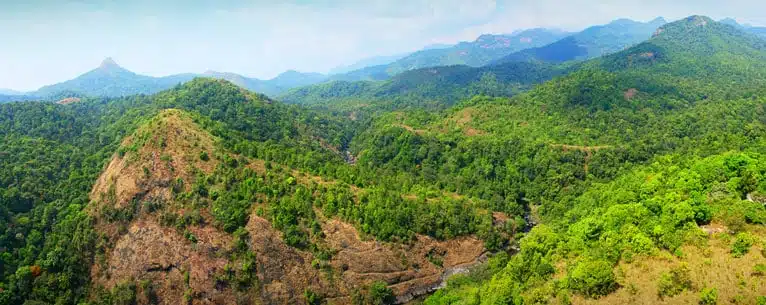 Eco-Tourism in Kerala