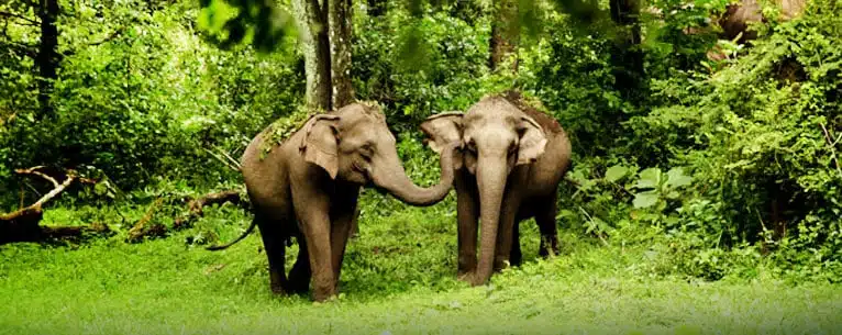 Eco-Tourism in Kerala