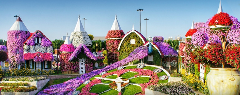 a flower clock in a garden
