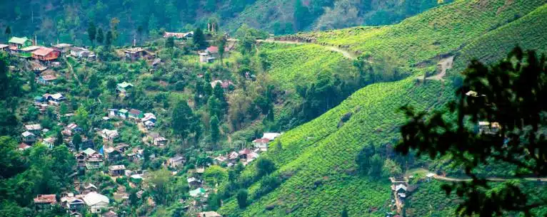 Best Places to travel in India for United State Citizen