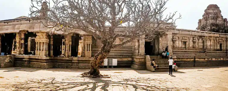 Best Places to travel in India for United State Citizen