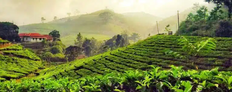 Best Places to travel in India for United State Citizen