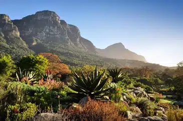 MAJESTIC SOUTH AFRICA