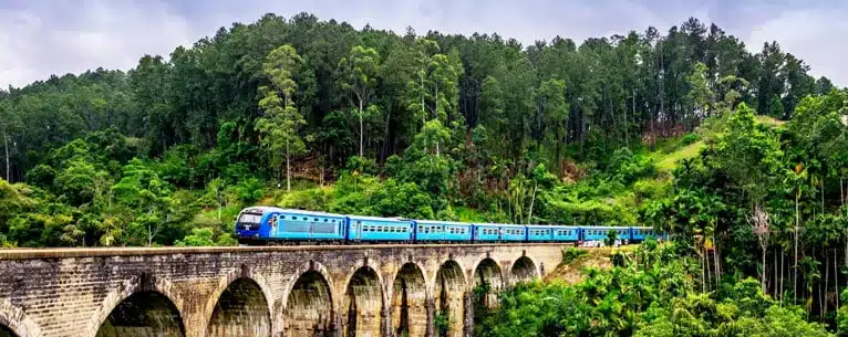 International vacation from&nbsp;India