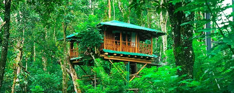 Summer Holiday Tour Package