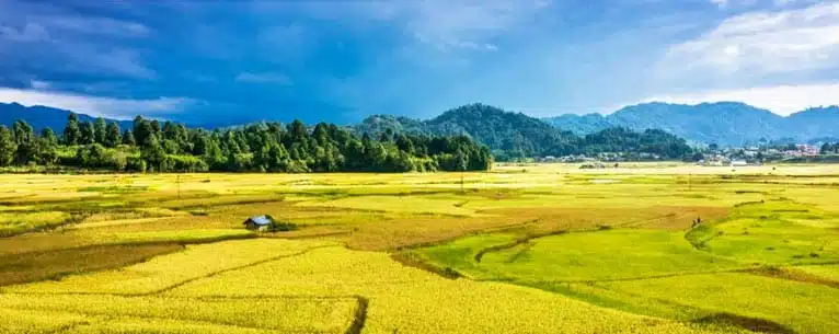 DESTINATION VACATION: INDIA & ABROAD