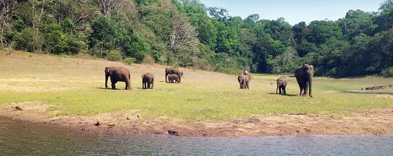 best places for family vacation