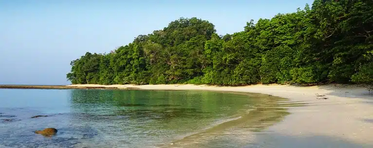 Summer Holiday Tour Package