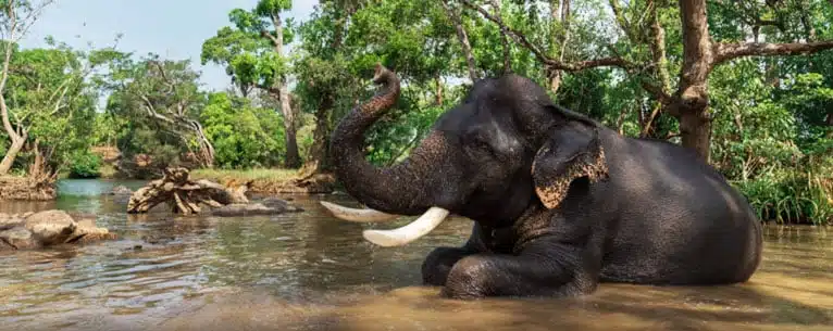 Summer break vacation