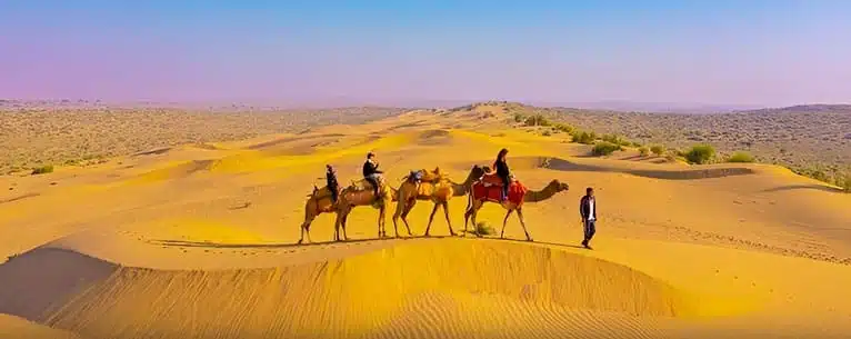Luxury Holiday Packages Rajasthan