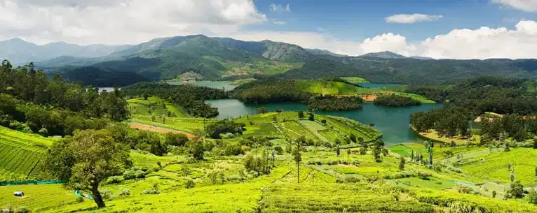 Summer Holiday Tour Package