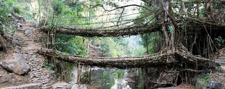 Summer Holiday Tour Package