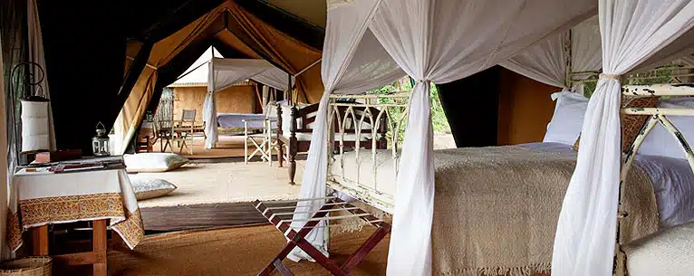 Maasai Mara : Best Stays, Game Drives and More
