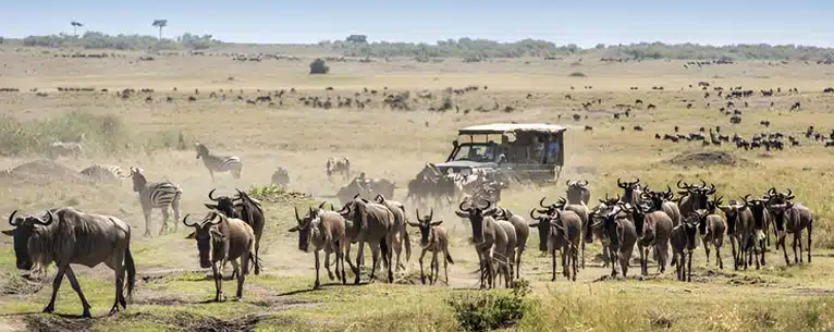 Summer break vacation