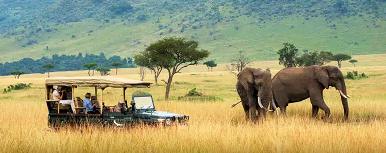 Maasai Mara : Best Stays, Game Drives and More