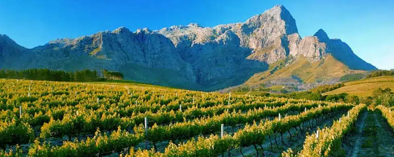 Summer break vacation