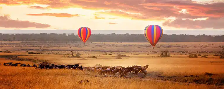 Maasai Mara : Best Stays, Game Drives and More