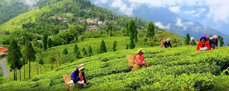 Experience Travel Like Never Before: A Journey Beyond the Ordinary