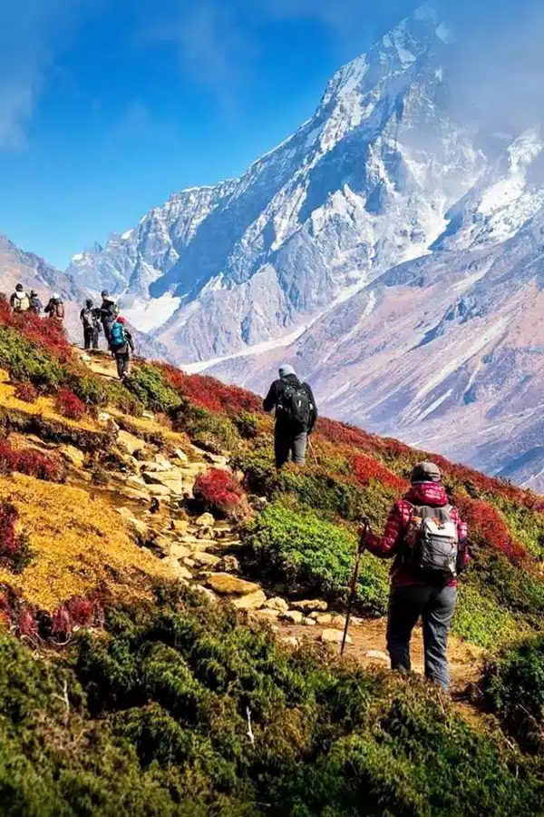 Experience Travel Like Never Before