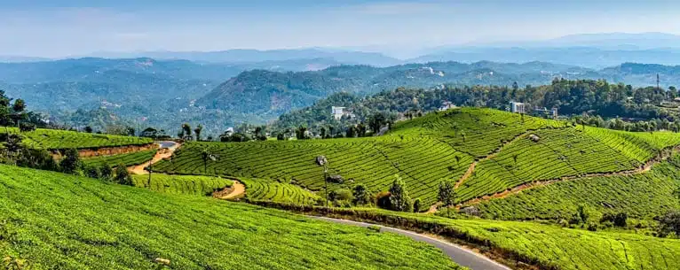 Best Places to Visit in June & July