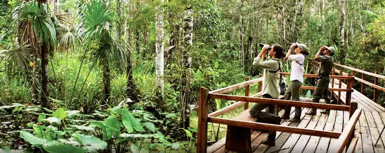 Experience Travel Like Never Before: A Journey Beyond the Ordinary