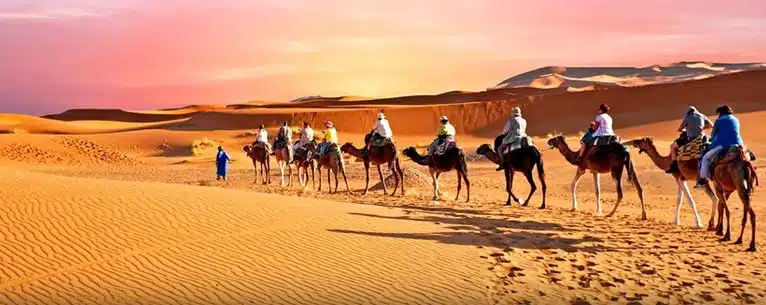 Experience Travel Like Never Before: A Journey Beyond the Ordinary