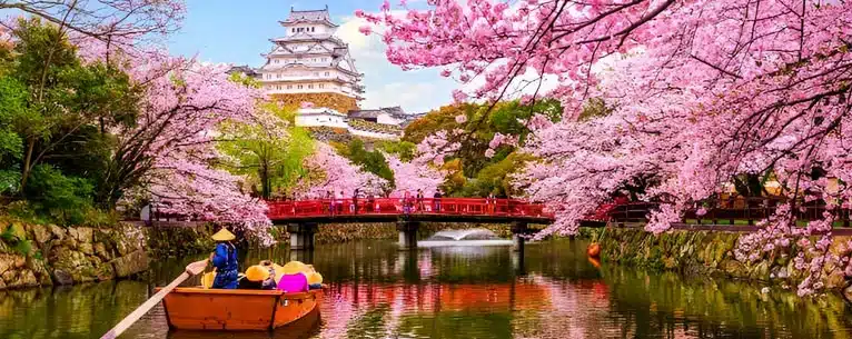 Experience Travel Like Never Before: A Journey Beyond the Ordinary