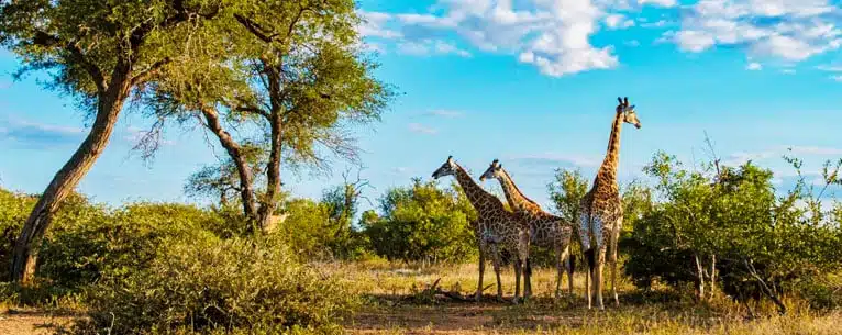 Best Places to Visit in June & July