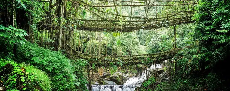 Discover the magic of North East India