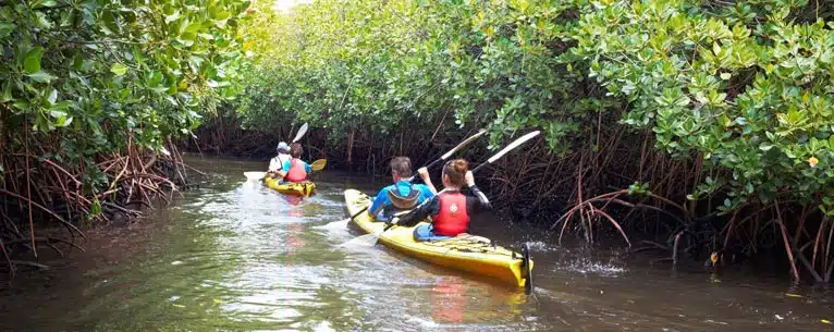 Top adventure destinations in India