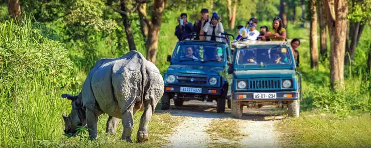 Discover the magic of North East India