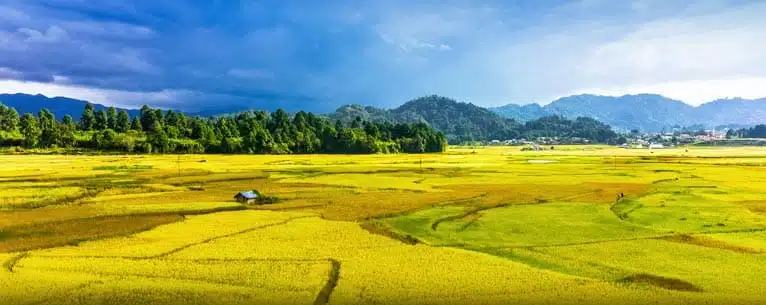 Discover the magic of North East India