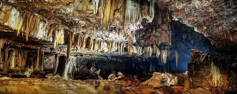 India Adventure Tour