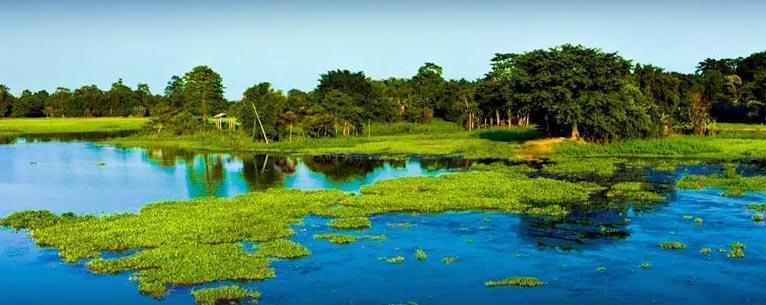 Discover the magic of North East tour packages – Explore India’s hidden gem