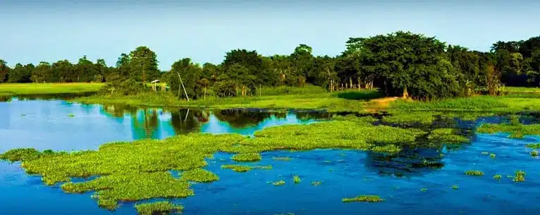 Discover the magic of North East India