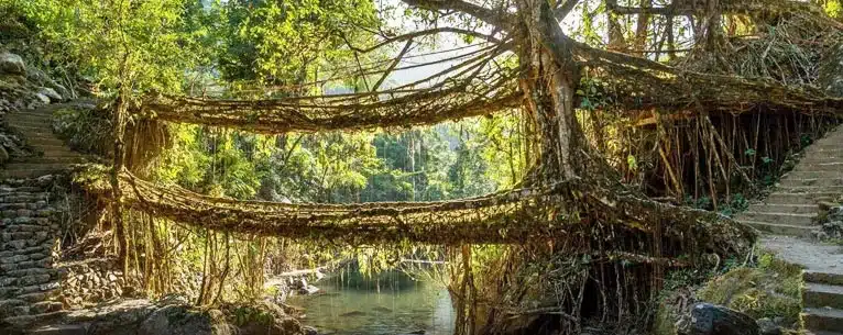 Shillong tour package