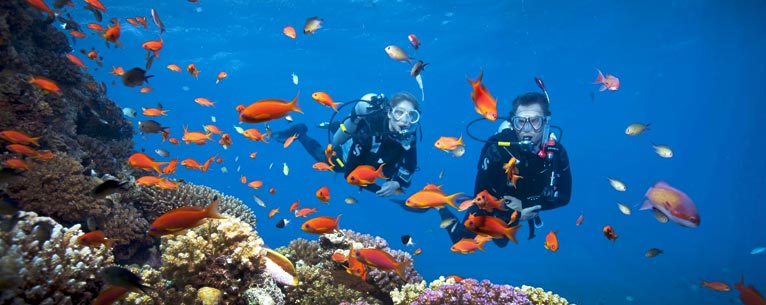 India Adventure Tour