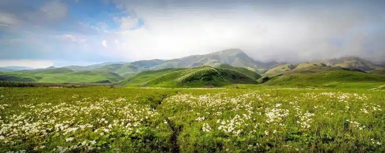 Discover the magic of North East India