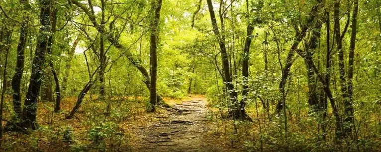 Shillong tour package