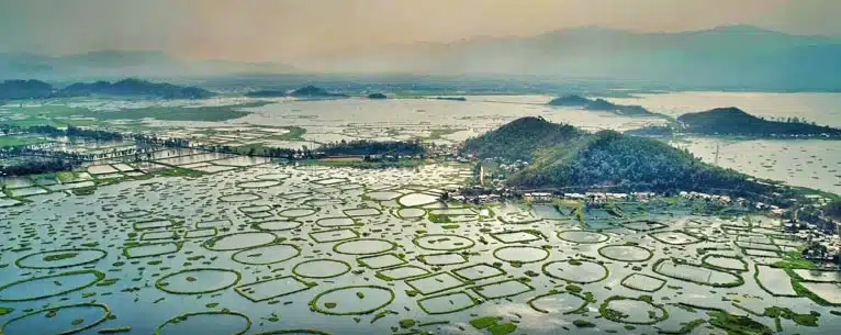 Discover the magic of North East India