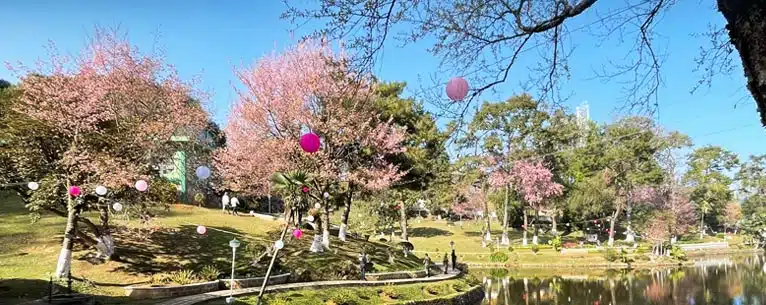 Shillong tour package: Best itinerary, packages & hidden gems in the Scotland of the East