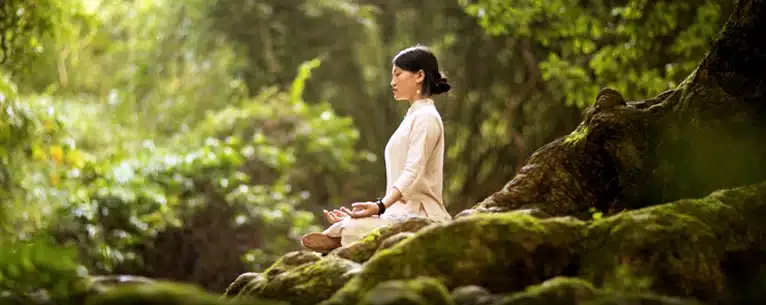 Forest Bathing in India: Explore the healing power of the woods