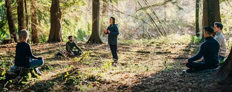 Forest Bathing in India: Explore the healing power of the woods
