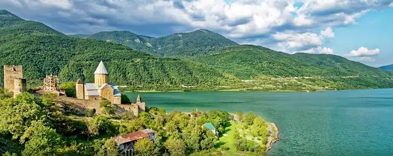 senior citizen tour package