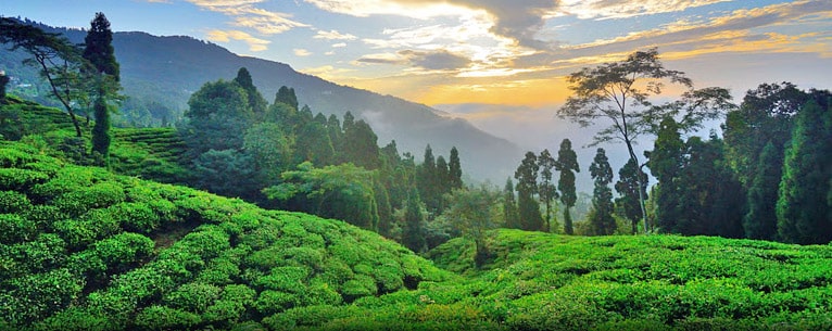 Top 10 offbeat destinations in North Bengal