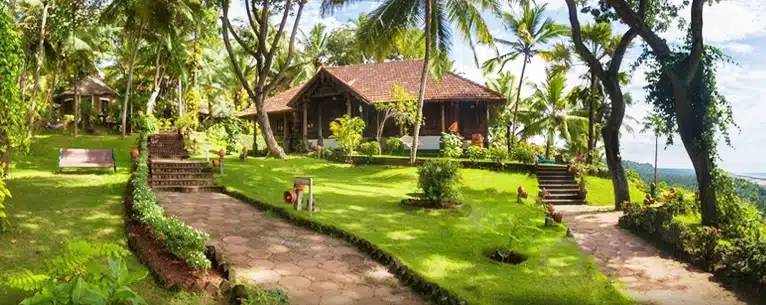 Ayurveda detox holiday in India