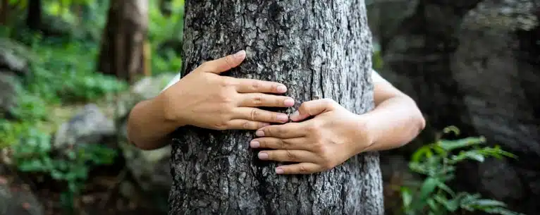 Forest Bathing in India: Explore the healing power of the woods