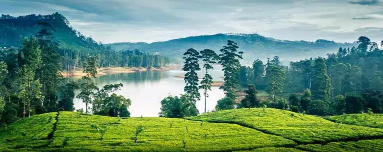 North Bengal Offbeat Destination Guide