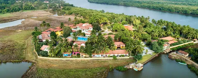 Ayurveda detox holiday in India