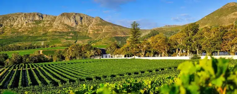 senior citizen tour package